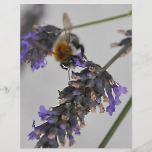 Naturen Prachtige werknemers