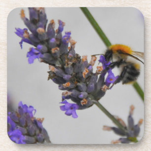 Naturen Prachtige werknemers Bier Onderzetter