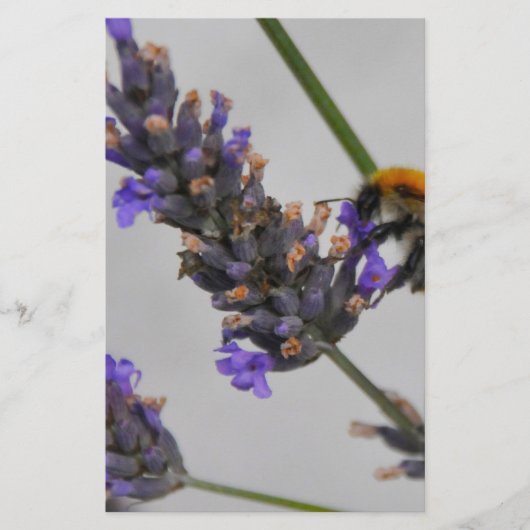 Naturen Prachtige werknemers Briefpapier (Voorkant)