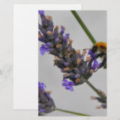 Naturen Prachtige werknemers Briefpapier (Voorkant / Achterkant)