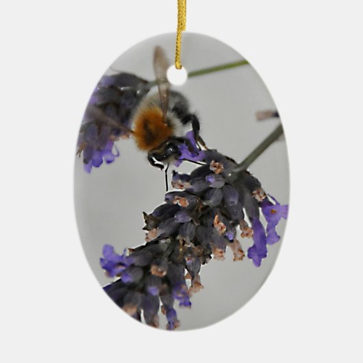 Naturen Prachtige werknemers Keramisch Ornament (Voorkant)