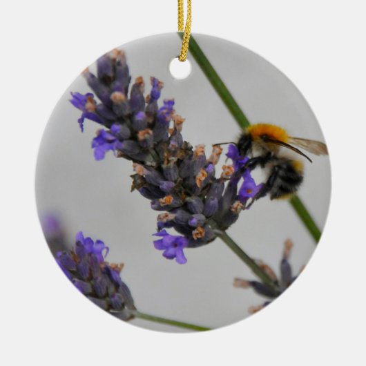 Naturen Prachtige werknemers Keramisch Ornament (Voorkant)