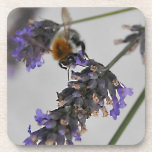 Naturen Prachtige werknemers Onderzetter