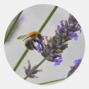 Naturen Prachtige werknemers Ronde Sticker