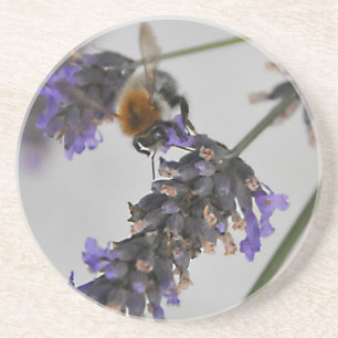 Naturen Prachtige werknemers Zandsteen Onderzetter