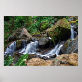 Nature's Bliss Poster (Voorkant)