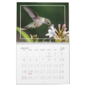 Nature's Little Miracles Hummingbirds Kalender (Jan 2026)