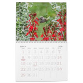 Nature's Little Miracles Hummingbirds Kalender (Mar 2026)