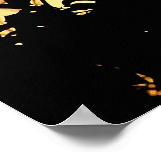 Nature's silhouette Poster (Coin)