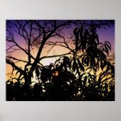 Nature's silhouette Poster (Devant)