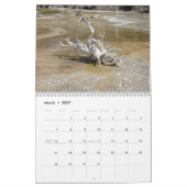 natuur 2010 kalender (Mar 2027)