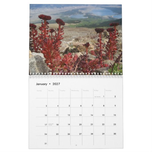 natuur 2010 kalender (Jan 2027)