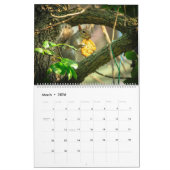 natuur 2014 kalender (Mar 2026)