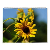 natuur 2014 kalender (Hoes)