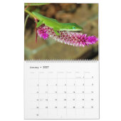 Natuur 2016 kalender (Jan 2027)
