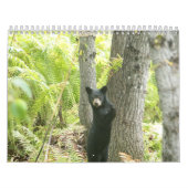 natuur 2016 kalender (Hoes)