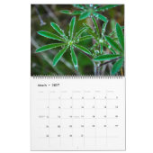 natuur 2017 kalender (Mar 2027)