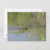 NATUUR 2 BRIEFKAART (Voorkant / Achterkant)