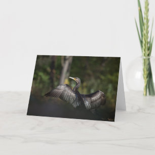 Natuur aalscholver Foto Kaart