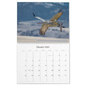 Natuur agenda kalender (Jan 2026)