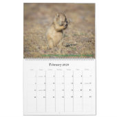 Natuur agenda kalender (Feb 2026)