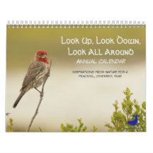 Natuur agenda: Kijk naar boven, kijk naar beneden,