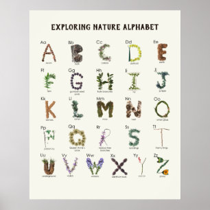 Natuur-alfabet verkennen   Woodland ABC Nursery Poster