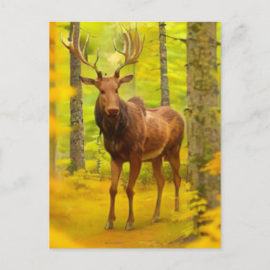 *~* Natuur AP49 MOOSE Bossen Forest Herfst Geel Briefkaart
