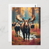 *~* Natuur AP49 MOOSE Forest PINES STREAM Briefkaart (Voorkant / Achterkant)