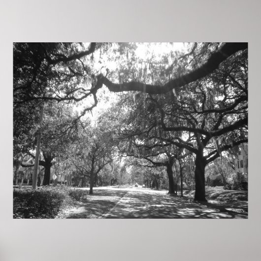 Natuur Arbor Poster (Voorkant)