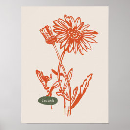 Natuur Art poster collectie