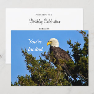 Natuur Bald Eagle Wildlife Foto Verjaardag Kaart