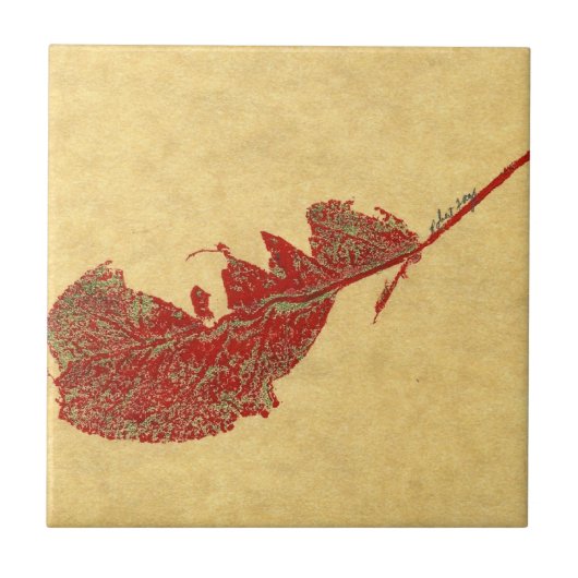 Natuur blad afdruk van een wormgeten appelblad tegeltje (Voorkant)