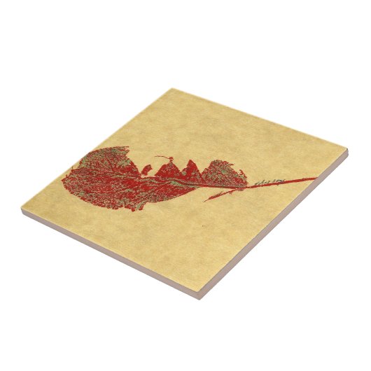 Natuur blad afdruk van een wormgeten appelblad tegeltje (Zijkant)