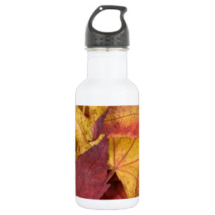 Natuur Bladeren Herfstval Boomblad Kleurrijk Kunst Waterfles
