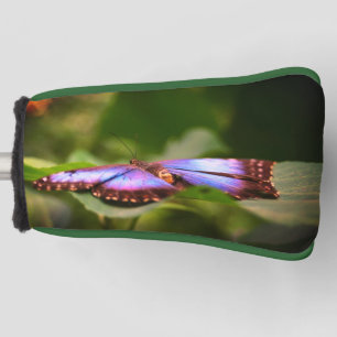 Natuur Blauwe vlinder Sluiten Tint Golfheadcover