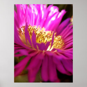 Natuur Bloem Macro Poster Dichterbij