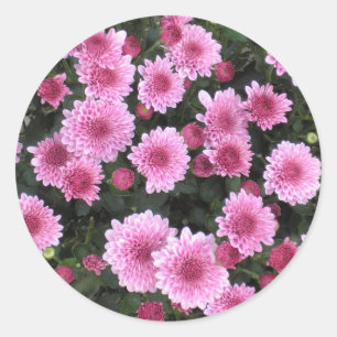 Natuur Boeket: Lente sticker