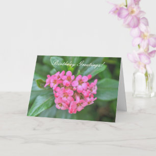 Natuur Boeket van Pink Dainty Flowers Verjaardag Kaart