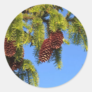 Natuur bos foto sticker met takken