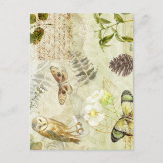 Natuur bos Wildlife Owl Butterfly Briefkaart