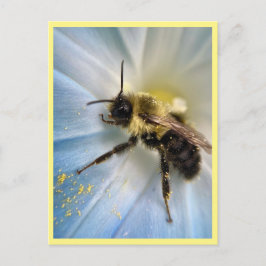 Natuur Botanische Bee Alle Gelegenheid Briefkaart