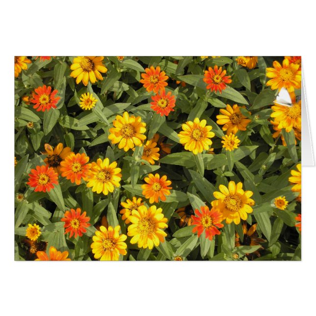 Natuur Bouquet-reeks (Herfst) (Voorkant Horizontaal)