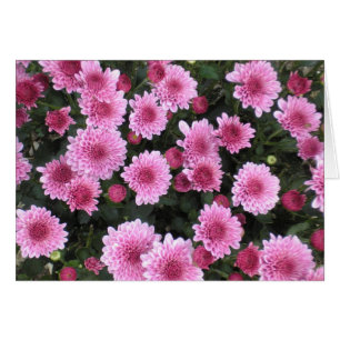 Natuur Bouquet-reeks (lente)