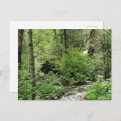 Natuur Briefkaart (Voorkant / Achterkant)