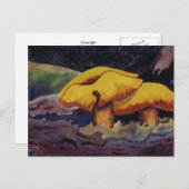 Natuur Briefkaart (Voorkant / Achterkant)