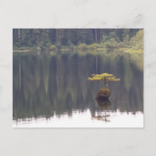Natuur Briefkaart