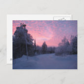 Natuur Briefkaart (Voorkant / Achterkant)