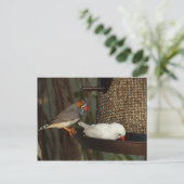 NATUUR BRIEFKAART (Staand voorkant)