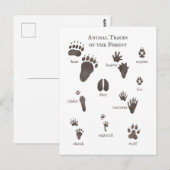 Natuur Briefkaart Dierverpakkingen van het bos (Voorkant / Achterkant)